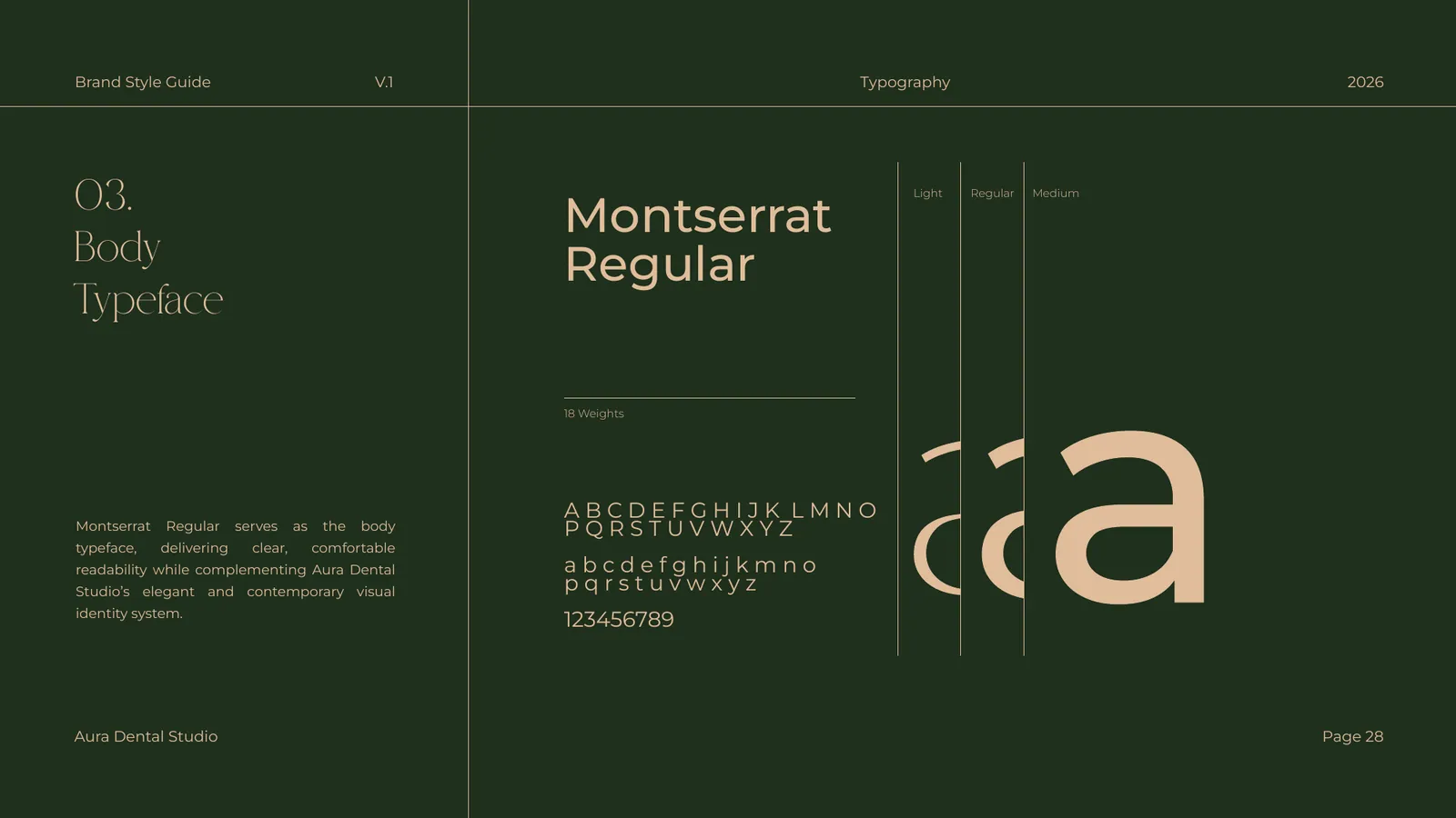 Aura Dental Studio brand style guide, page 28