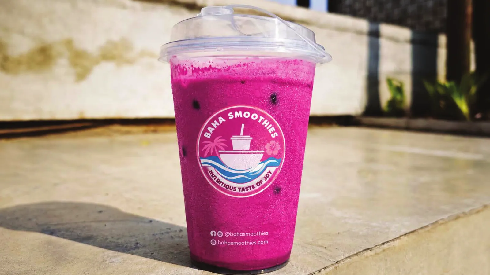 Baha Smoothies brand style guide, page 17