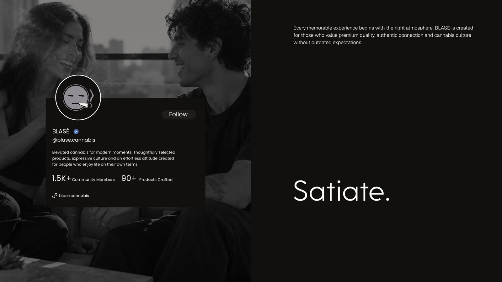 BLASE brand style guide, page 19