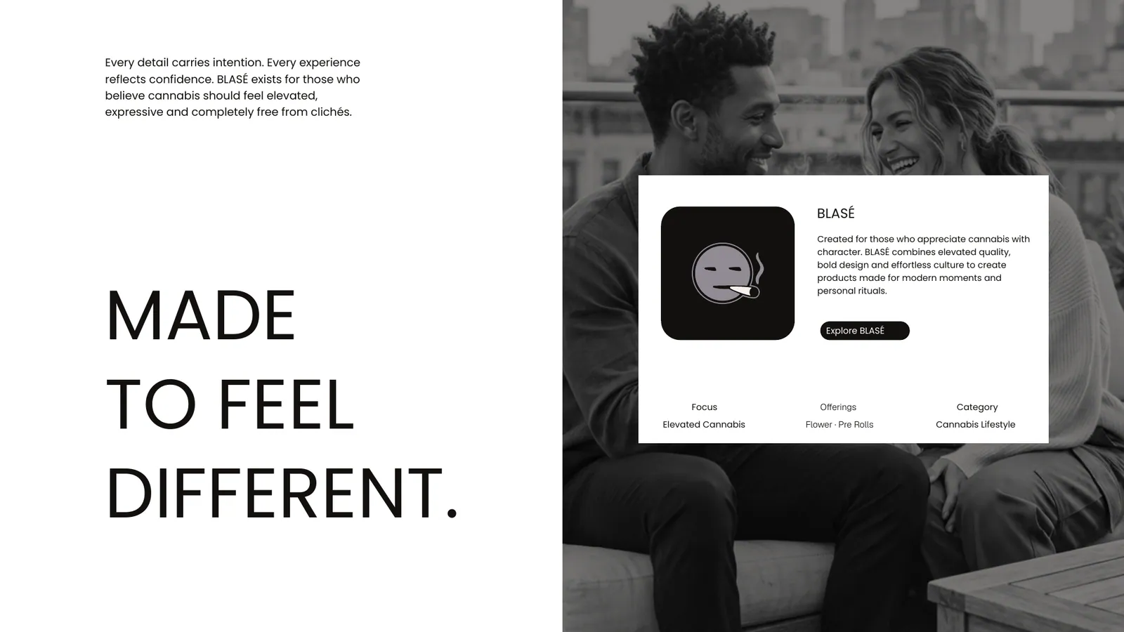 BLASE brand style guide, page 21