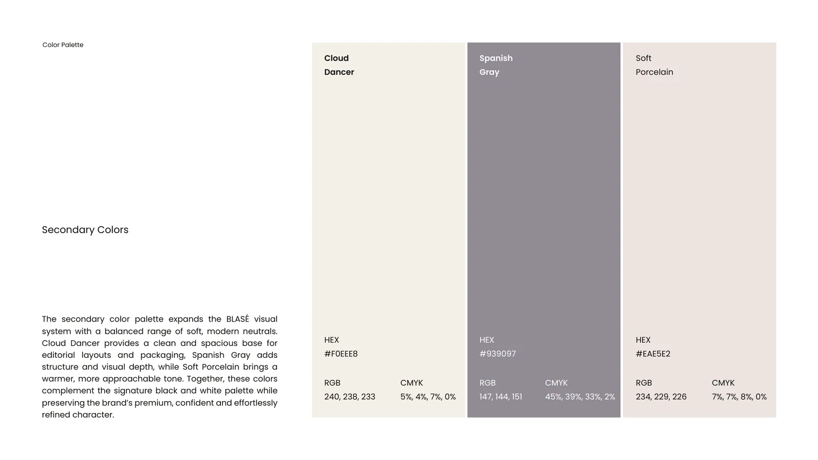 BLASE brand style guide, page 24