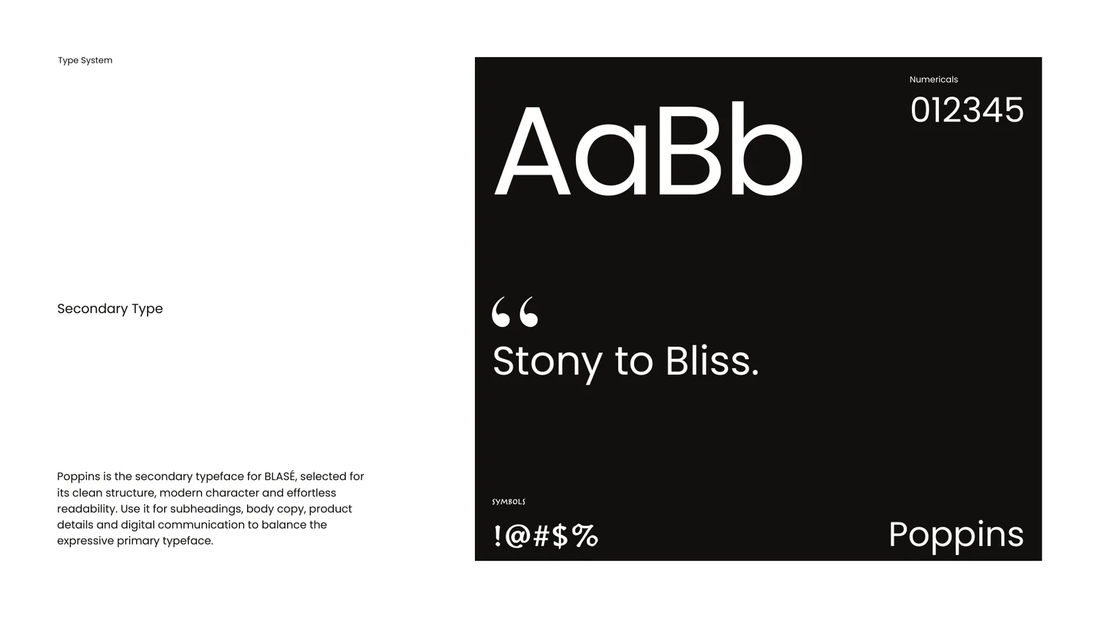 BLASE brand style guide, page 28