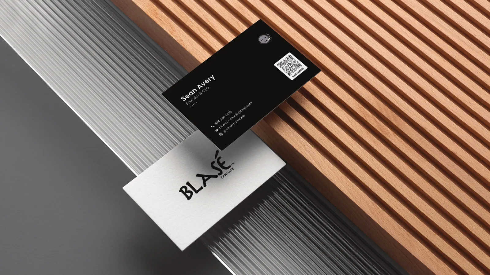 BLASE brand style guide, page 32