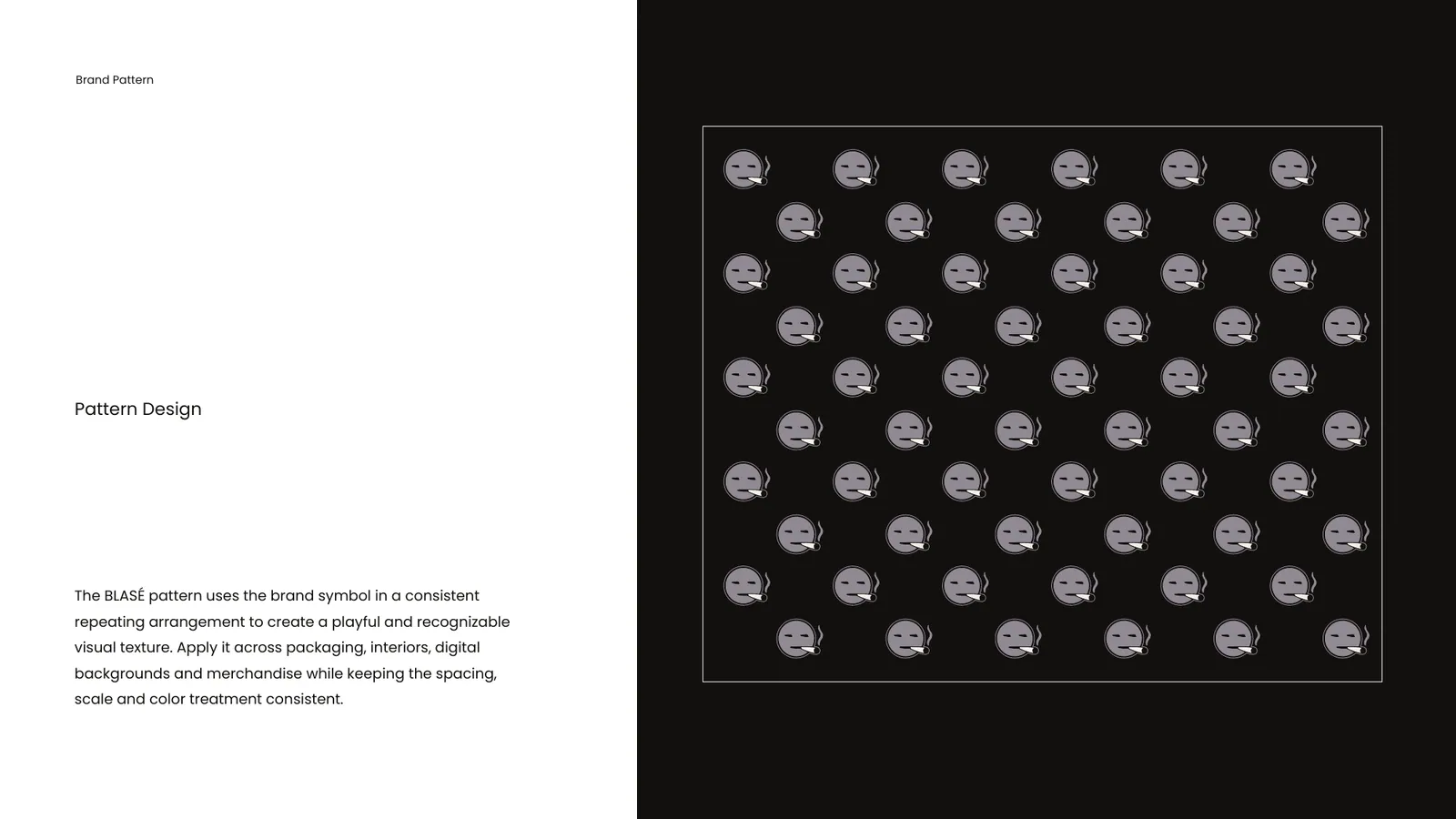 BLASE brand style guide, page 38