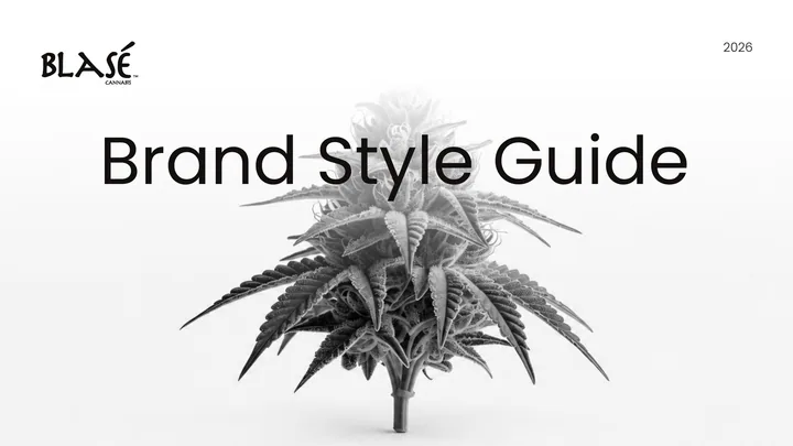BLASE brand style guide cover
