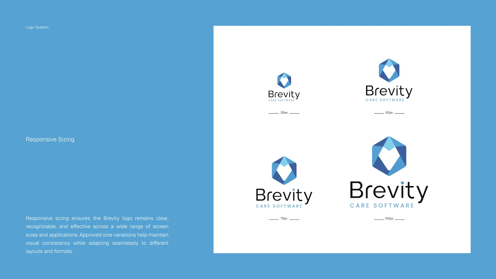 Brevity Care Software brand style guide, page 17