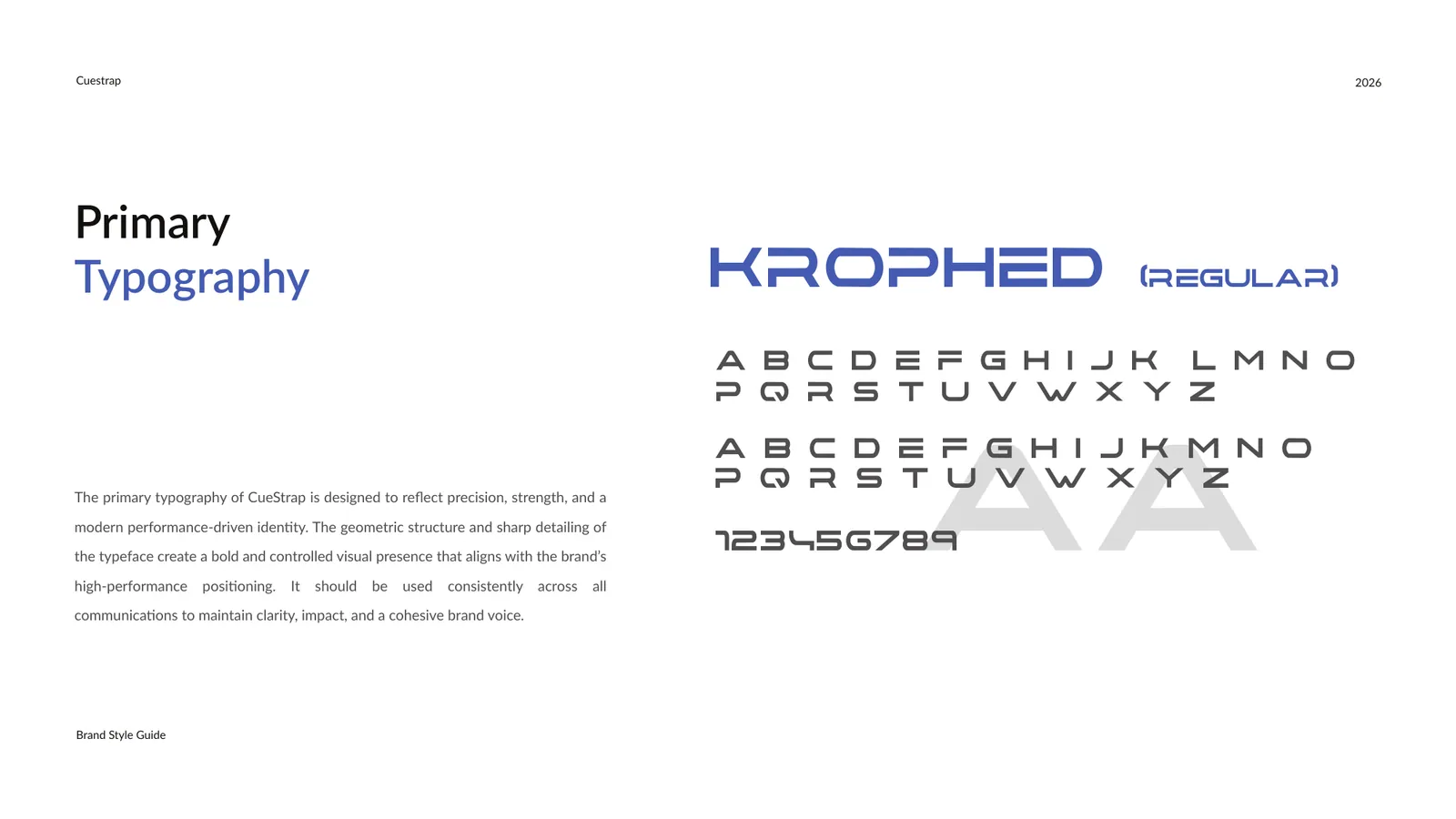 CueStrap brand style guide, page 6