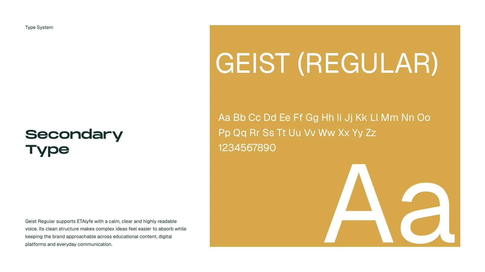 ETAlyfe brand style guide, page 27