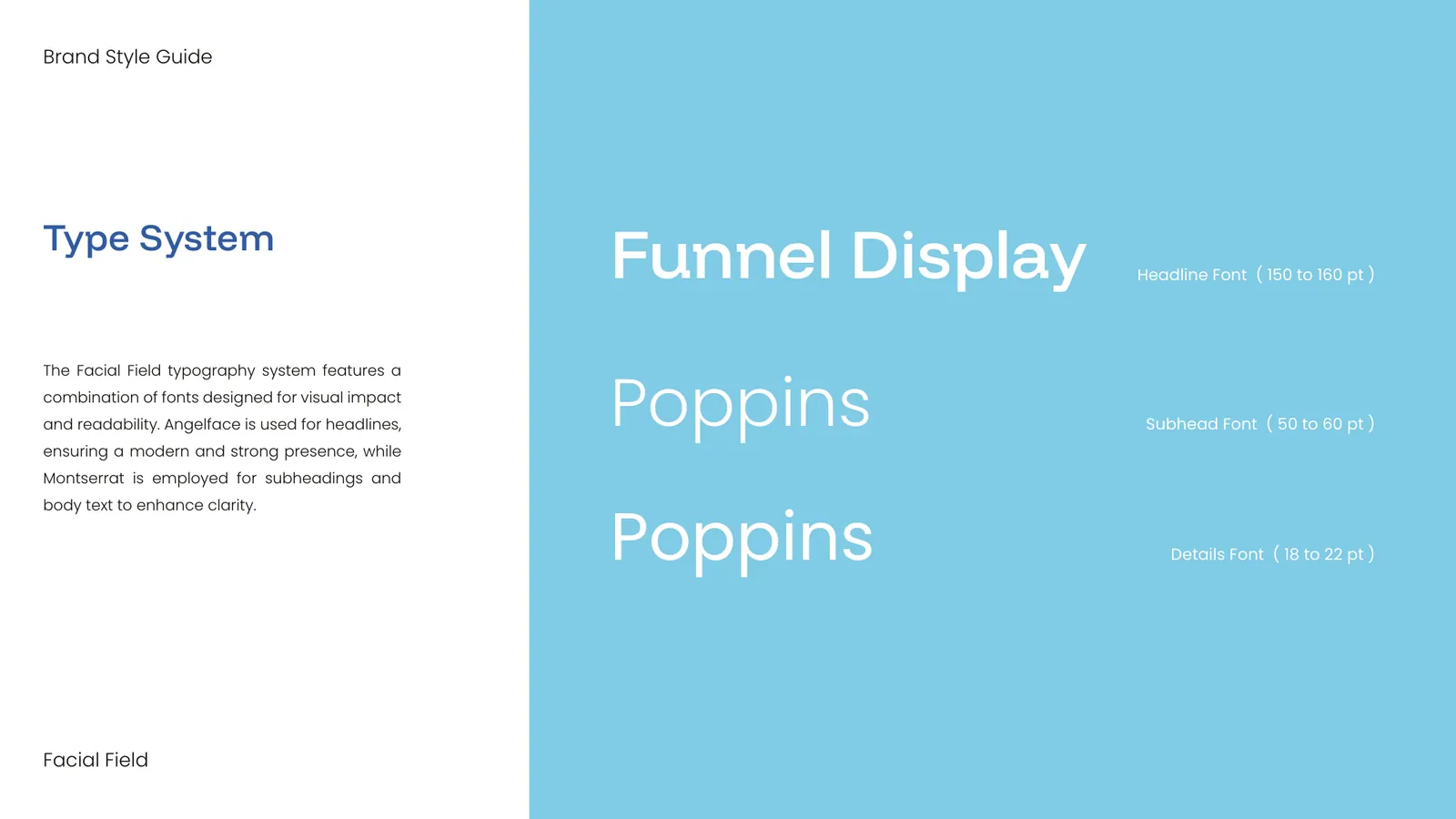 Facial Field brand style guide, page 22
