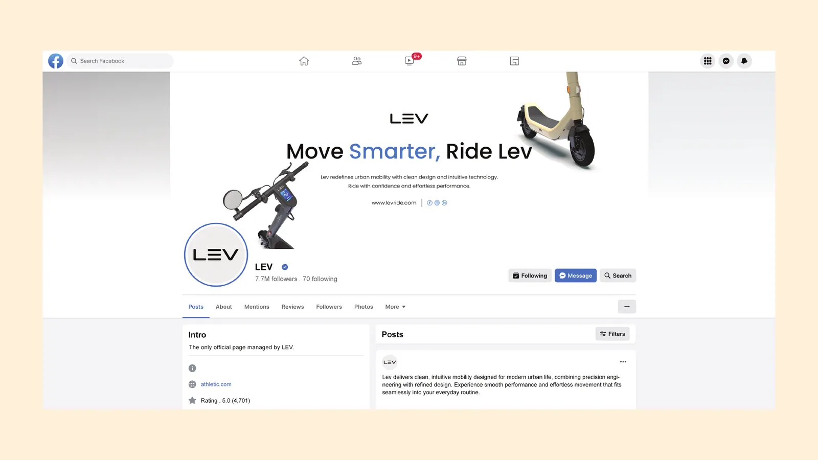 LEV brand style guide, page 39