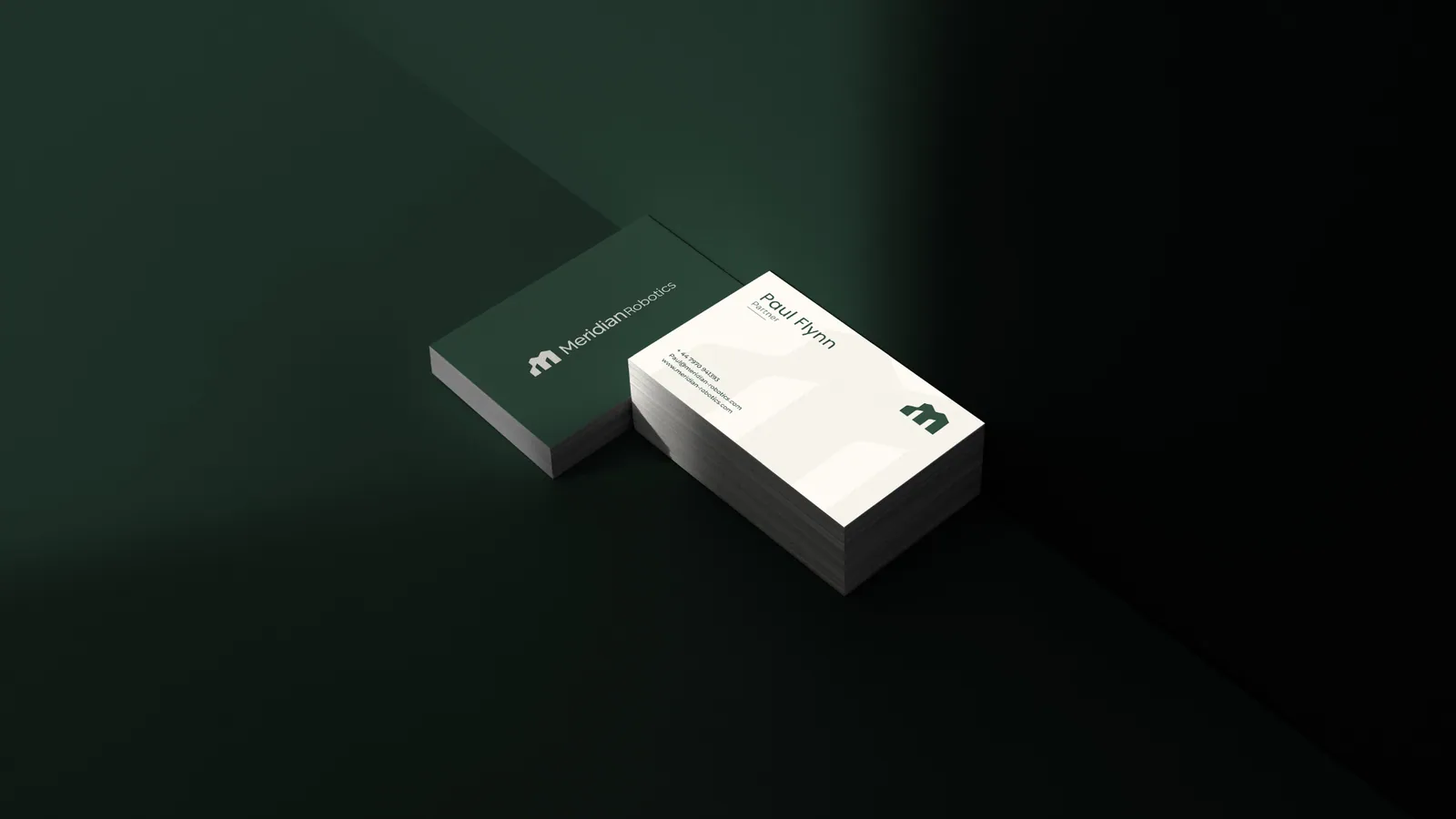 Meridian Robotics brand style guide, page 36