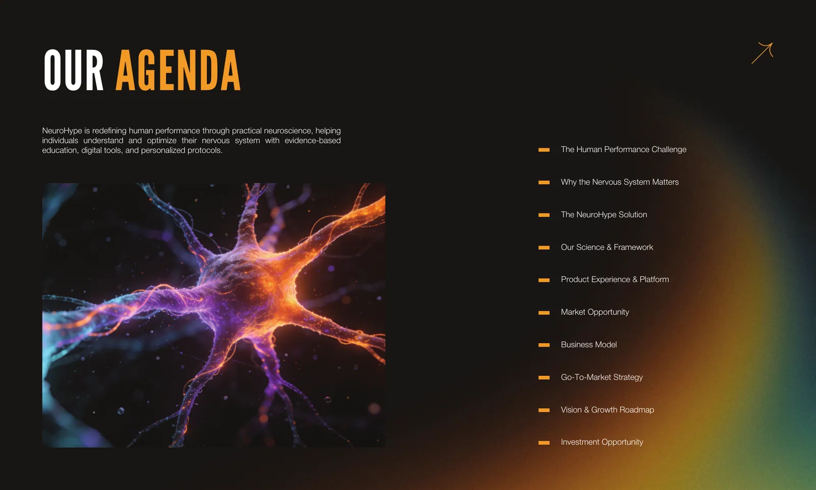 NeuroHype pitch deck, page 3