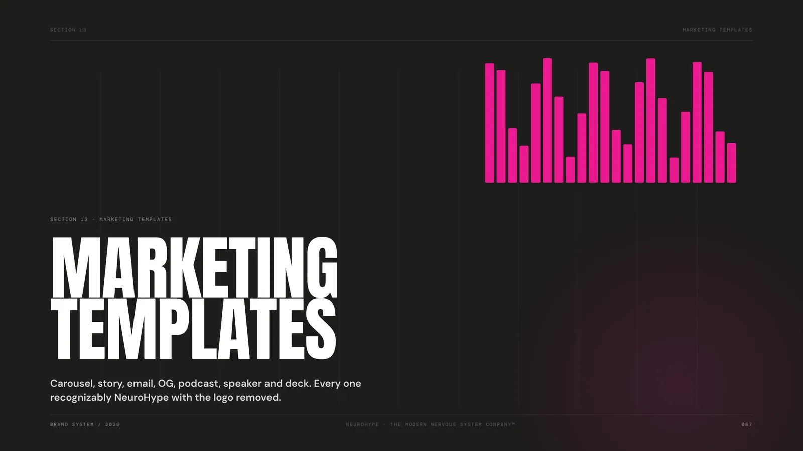 NeuroHype brand style guide, page 66