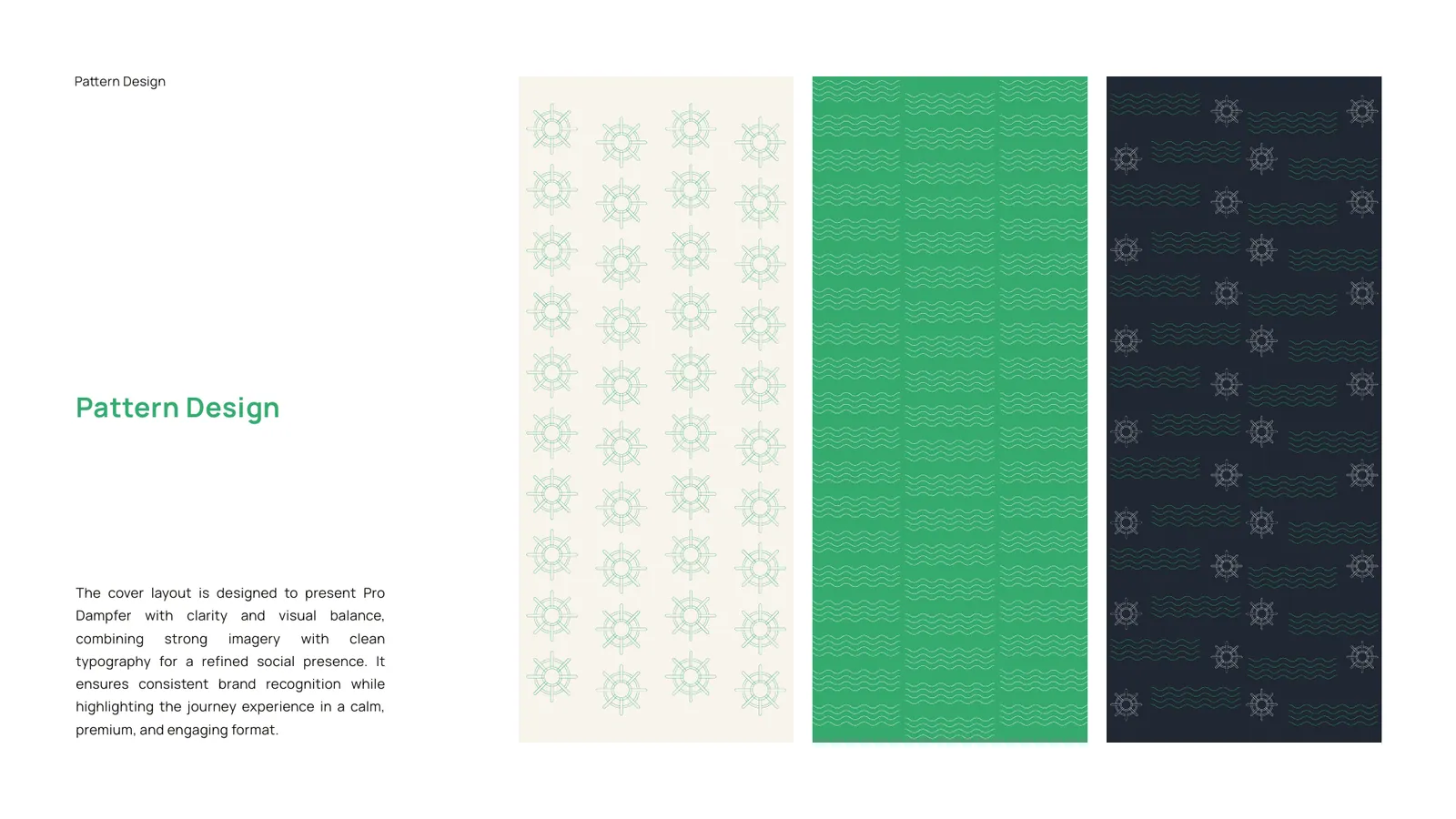 Pro Dampfer brand style guide, page 41