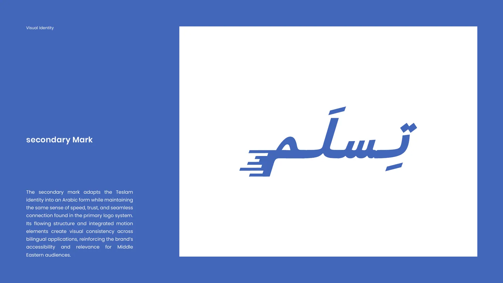 Teslam brand style guide, page 11