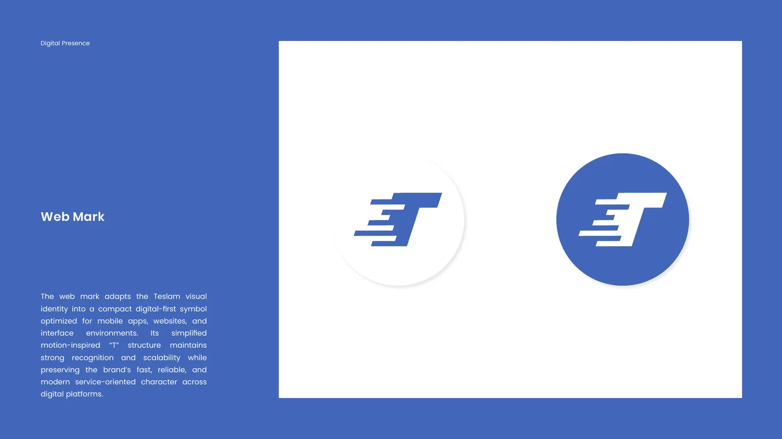 Teslam brand style guide, page 18