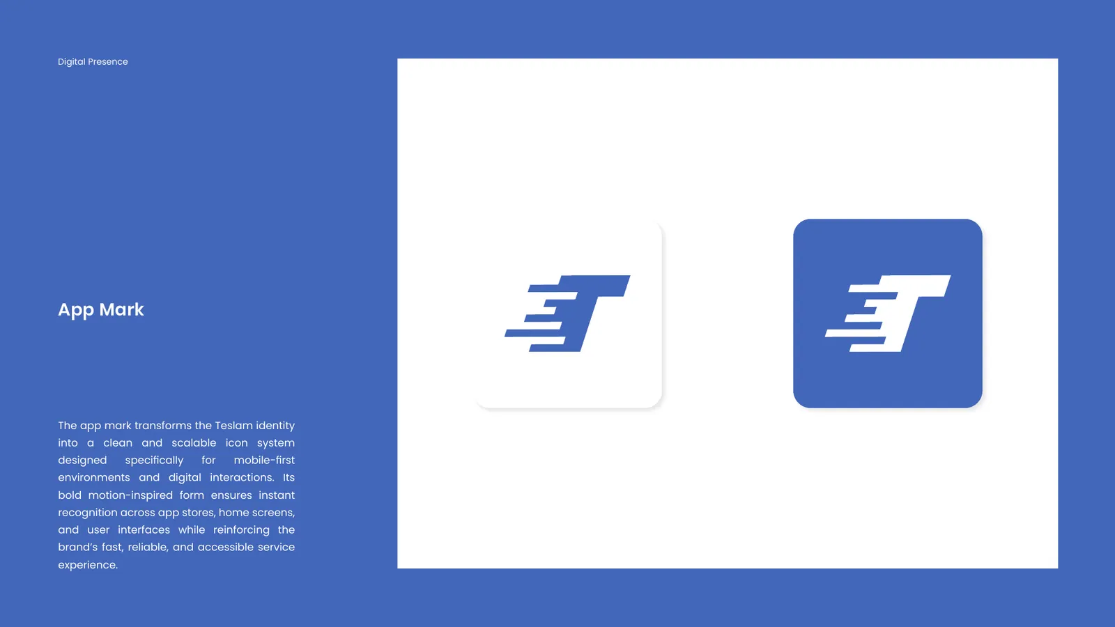 Teslam brand style guide, page 20
