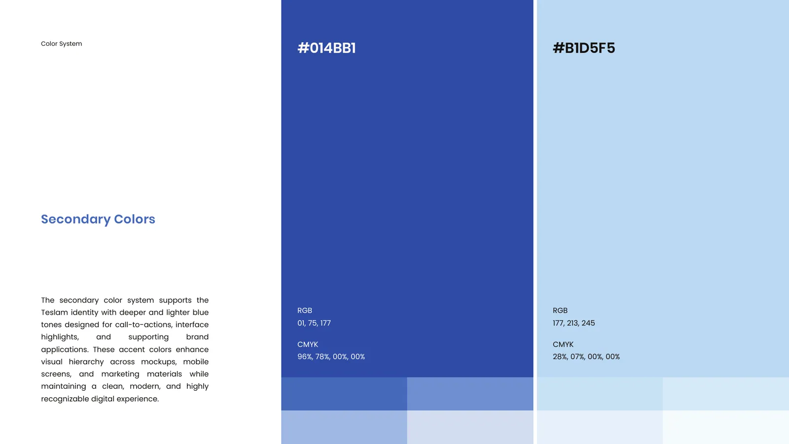 Teslam brand style guide, page 24